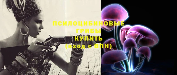 дурь Каменногорск