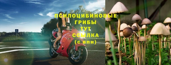 гидра Каменск-Шахтинский