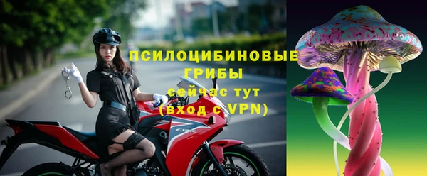 дурь Каменногорск