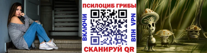 Псилоцибиновые грибы Psilocybine cubensis  Купить где  Волосово 